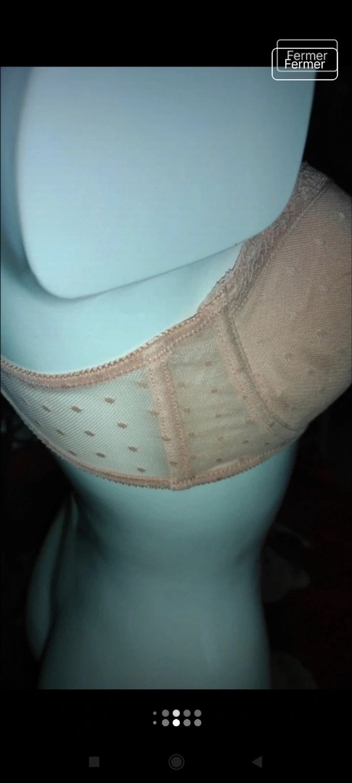 Très beau soutien gorge secret possession f1 - photo numéro 6