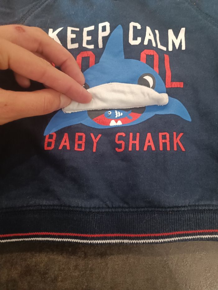 Pull - photo numéro 2