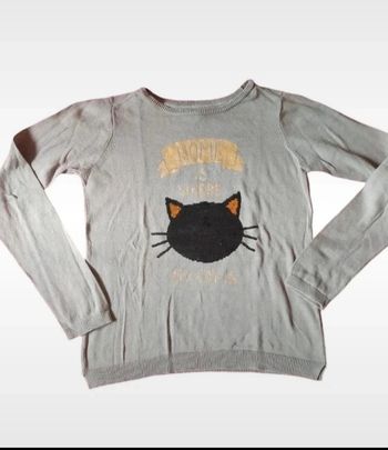 Pull tête de chat qui change de couleur 12 ans