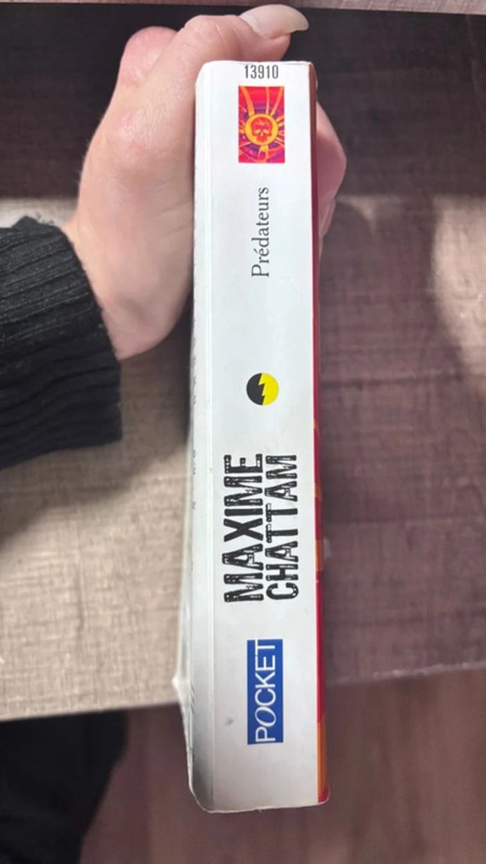 📚 Livre prédateurs de Maxime Chattam - photo numéro 3