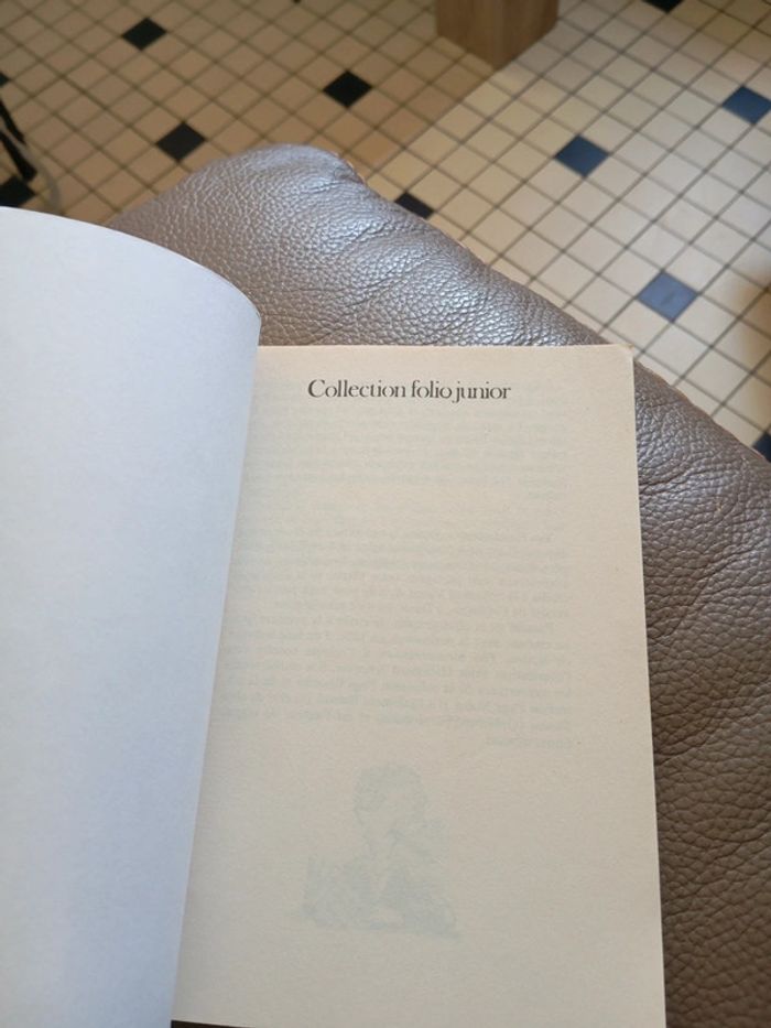 Roman Le Professeur A Disparu de Jean-Philippe Arrou-Vignod bon état - photo numéro 4