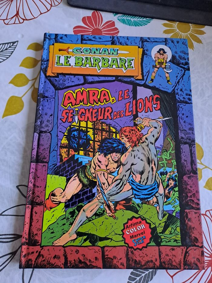 Conan le barbare aura le seigneur des lions - photo numéro 1