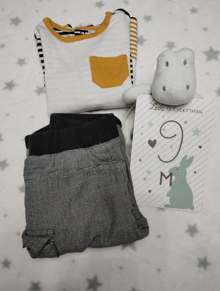 Ensemble tigre - photo numéro 11