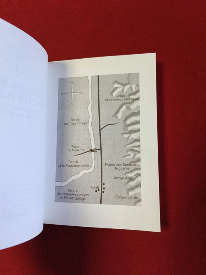 Cheval fantôme Tome 3 " Une jument dans les flammes " Terri Farley - photo numéro 9