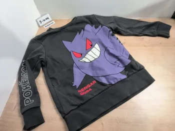 Lot 2 pulls pokémon 9-10 ans
