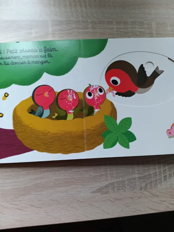 Bonjour petit oiseau kididoc - photo numéro 4