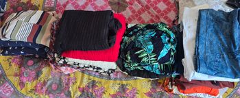 Vêtement à vendre en lot