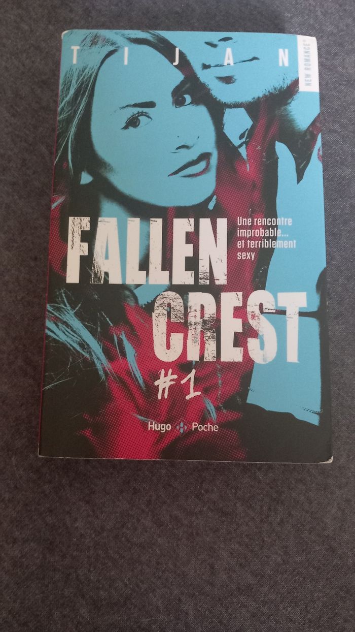 Lot de 7 tomes Fallen Crest - photo numéro 2