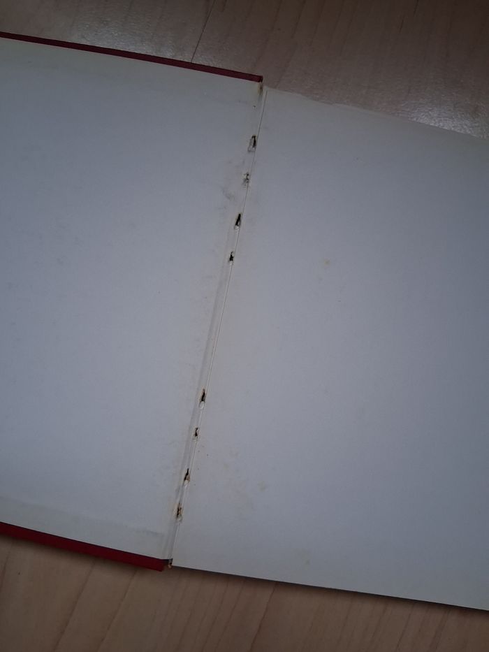 Ancien livre sur les fleurs d'Alsace - photo numéro 9