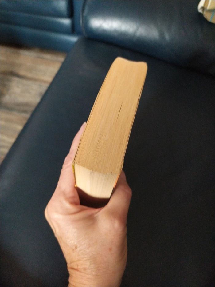 Éclair d'été de Tamara McKinley - photo numéro 4