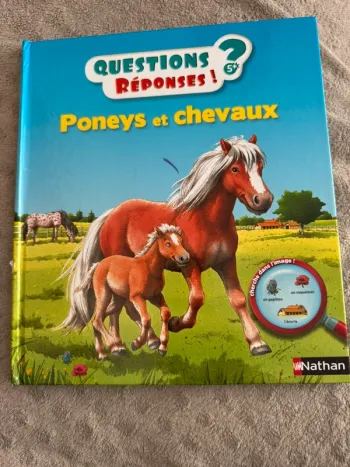 Poneys et chevaux, questions réponses