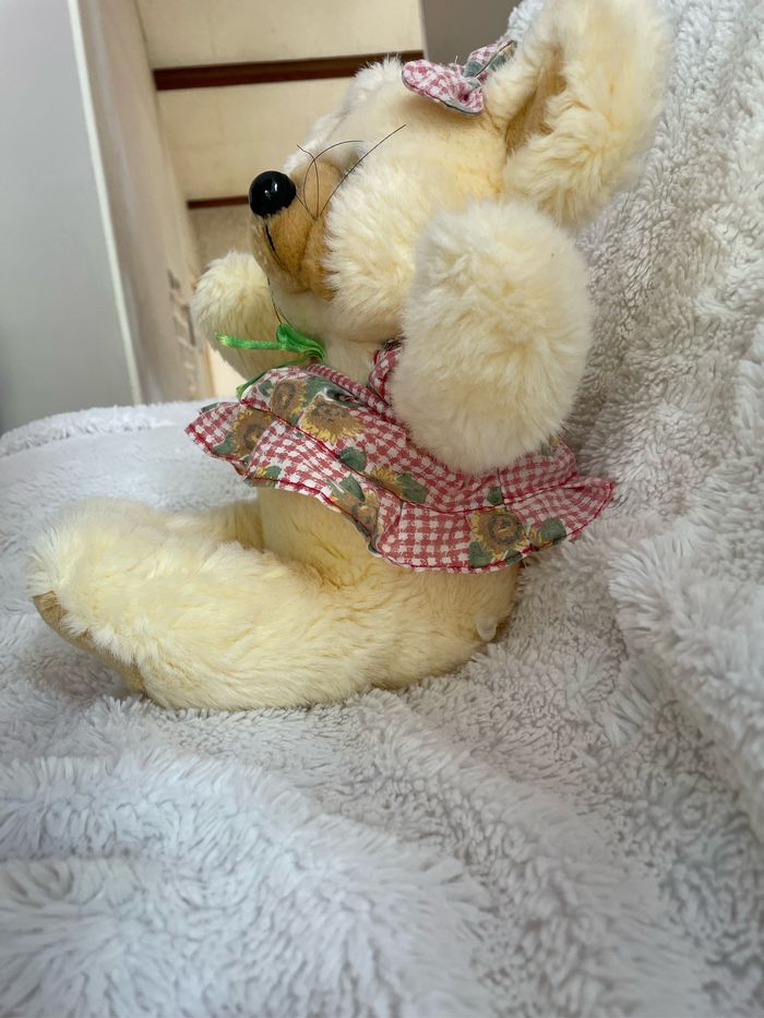 Ourson - photo numéro 3