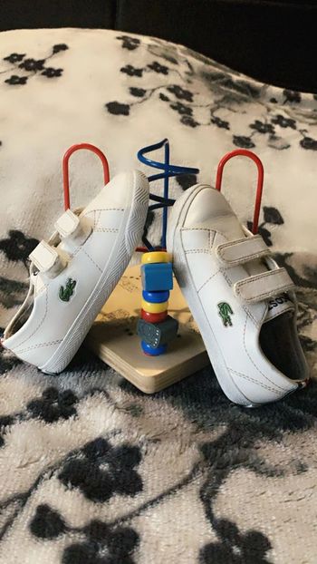 Basket