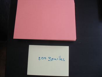 LOT DE 200 FEUILLES A4 - ROSE - 120 GR - n°36