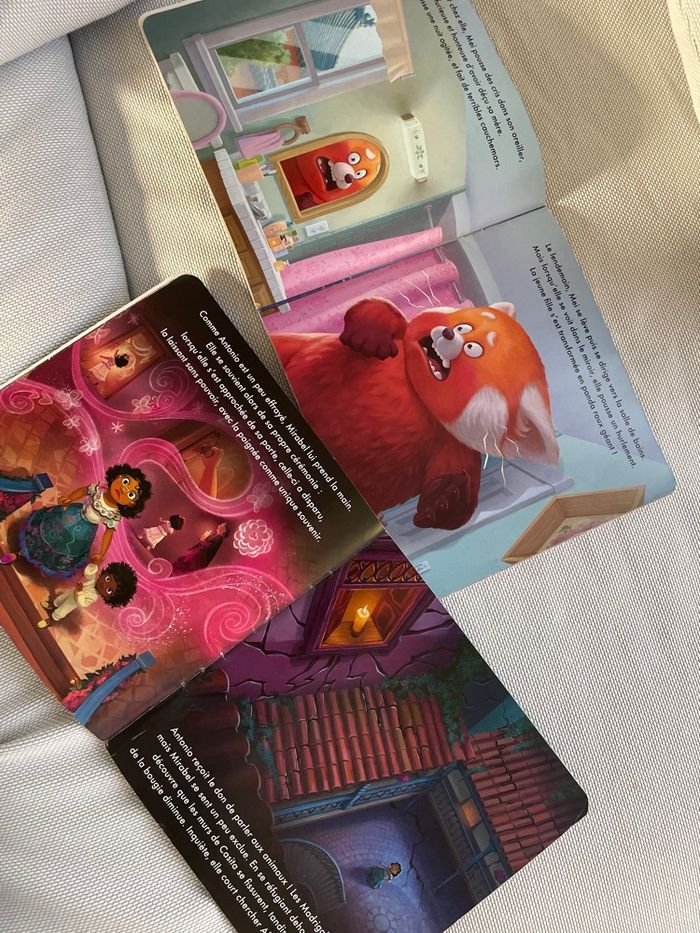 Lot livre - photo numéro 2