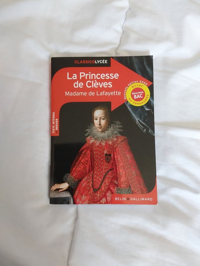 Livre titre La princesse de Cleves
