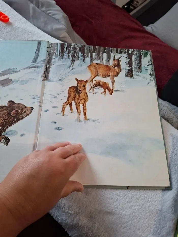 Magnifique livre pour jeune enfant sur les Animaux de la foret - photo numéro 3