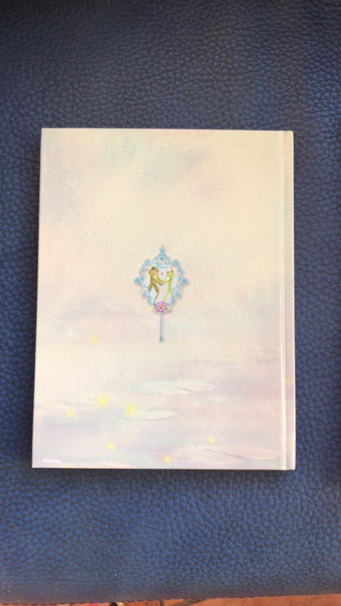 Disney neuf carnet la princesse et la grenouille + carnet ballerine - photo numéro 3