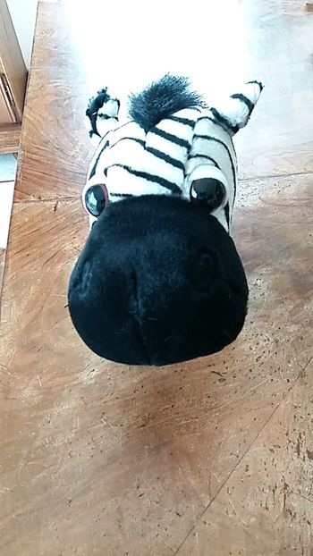 Peluche zebre Madagascar