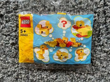 LEGO Modèles Propres : Animaux (30503)