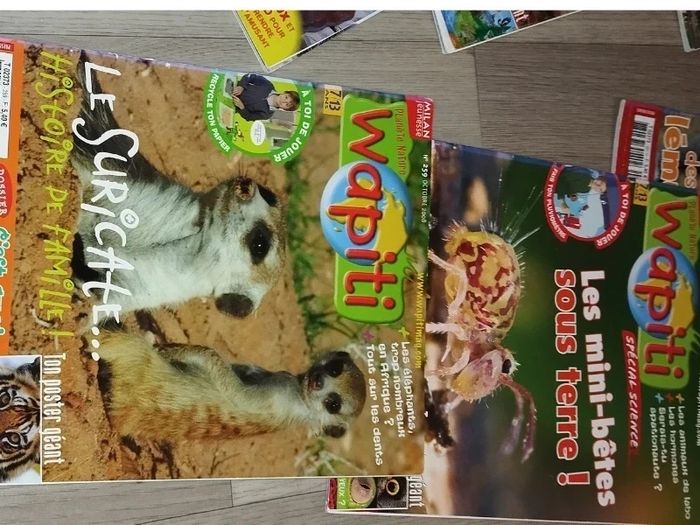 Lot de 7 magazines Wapiti année 2008-09 L025  7585218311 - photo numéro 9