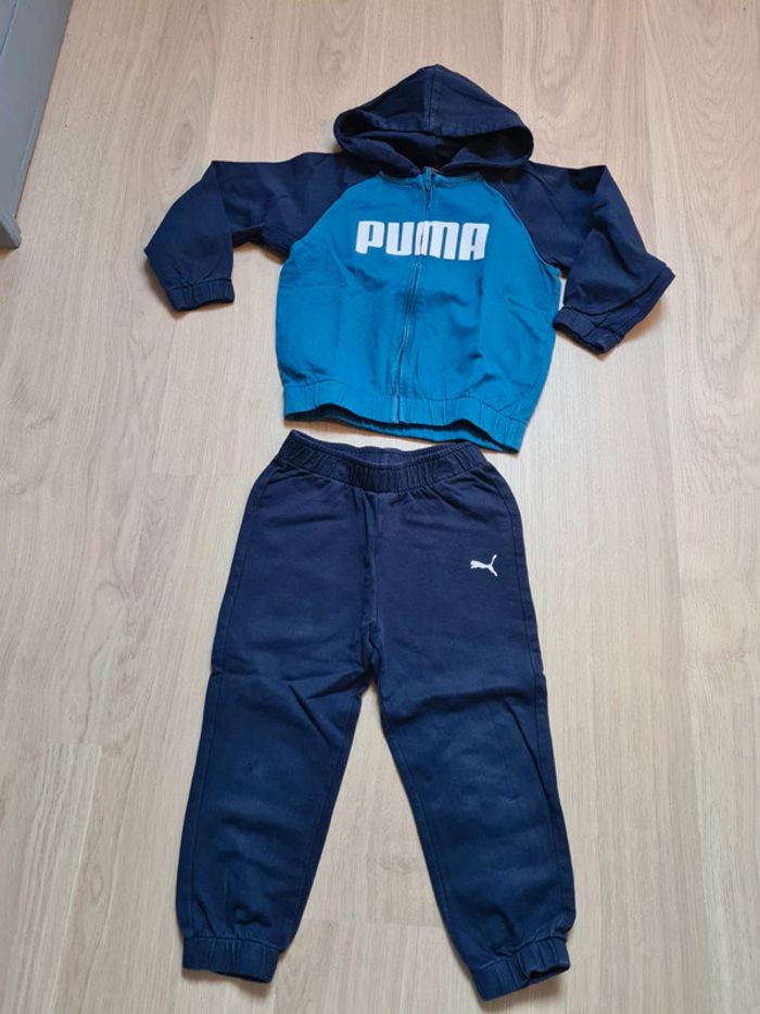 Puma 3-4 ans