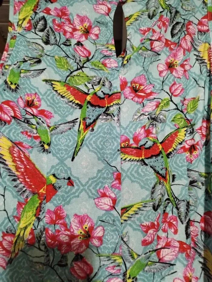 Robe perroquet - photo numéro 6