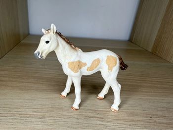 Poulain exclusif Pinto schleich