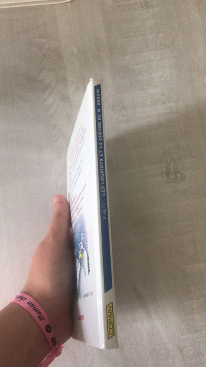 Les loupiots et la chèvre de Monsieur Seguin - photo numéro 4