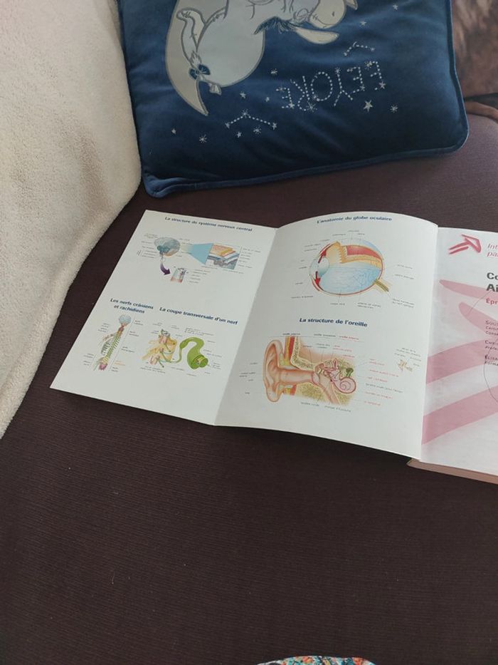 Guide AS + concours d'entrée AS - photo numéro 12