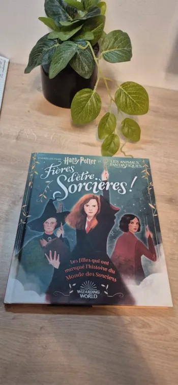 Fière d'être sorcière harry potter