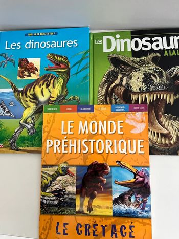 Lot de 3 livres dinosaures