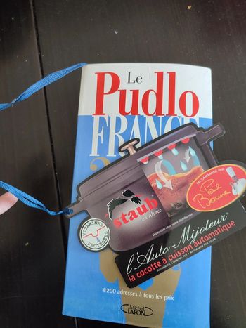 Livre pudlo France 2004