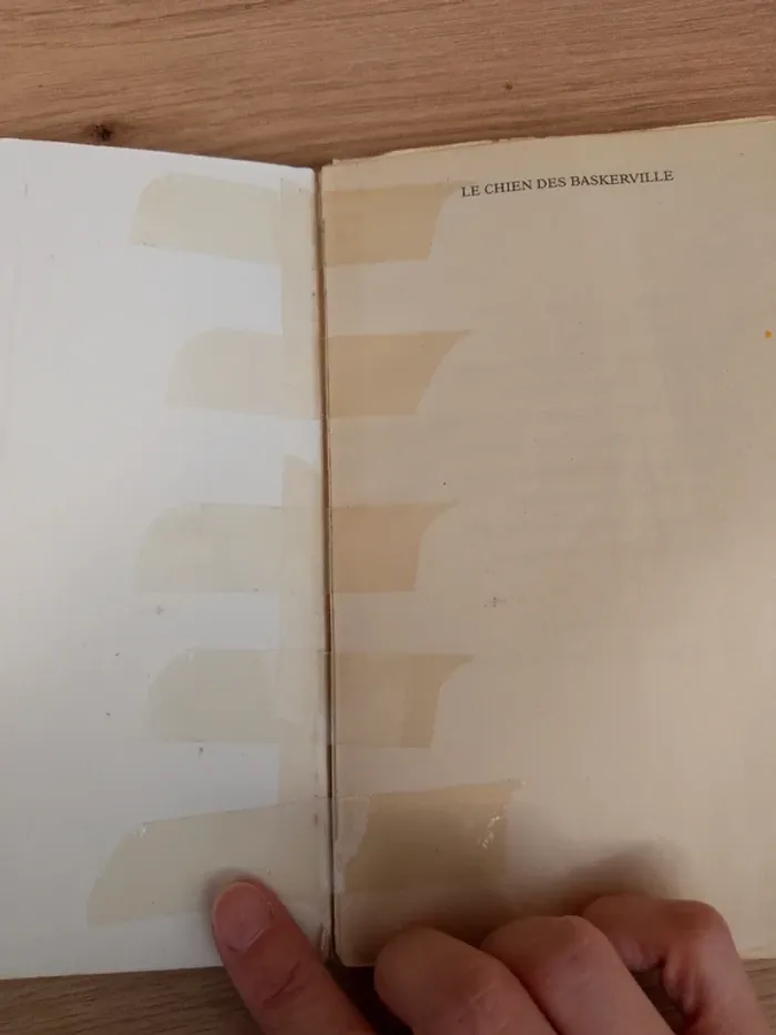 Livre Le chien des Baskerville - photo numéro 3
