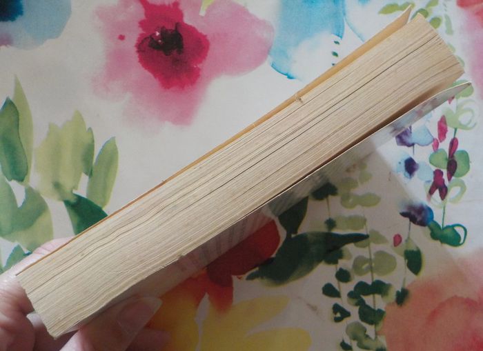 Mont-Oriol de Maupassant Ed. Folio n°811 - photo numéro 4