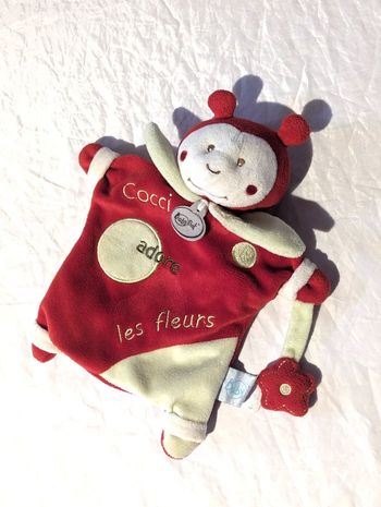 Coccinelle Doudou Ecritures Cocci Adore Fleurs Petite Fleur Main Insecte Peluche Petits Enfants Bébé