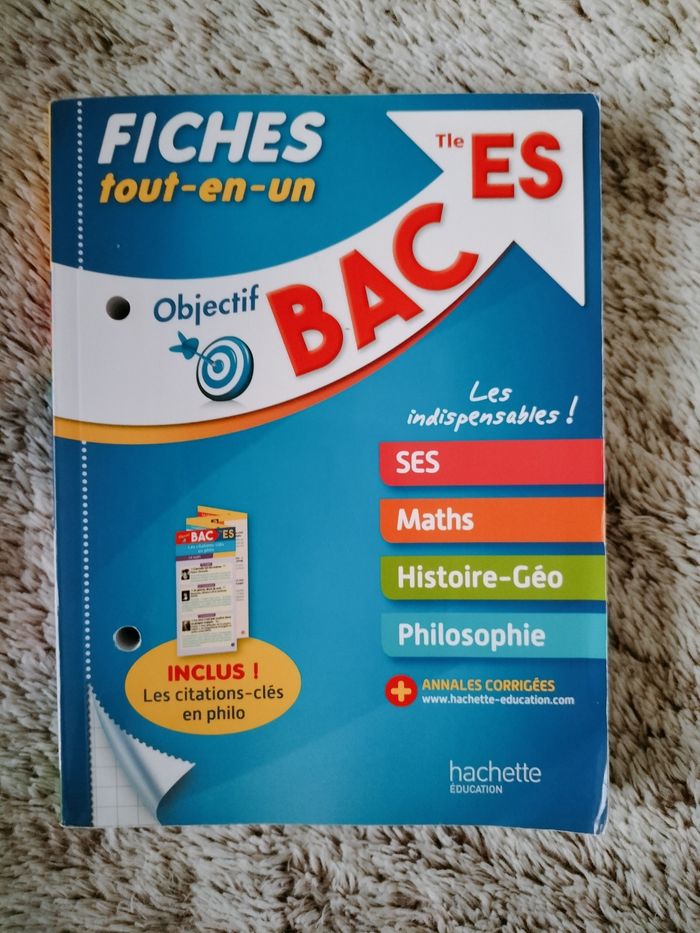 Fiches tout-en-un BAC ES (2017)