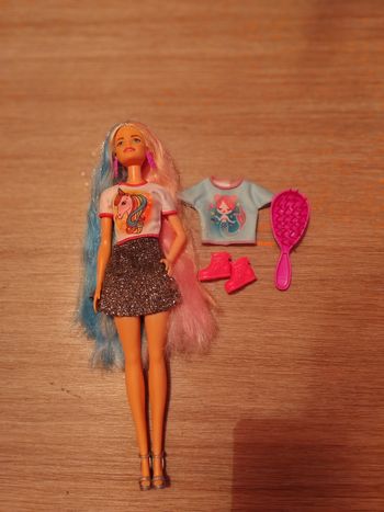 Barbie cheveux fantastiques 2 looks