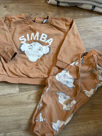 Ensemble simba