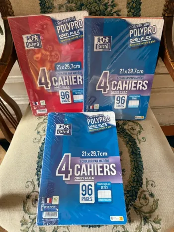 Oxford lot de 12 cahiers Polypro A4 Openflex 96 pages grand carreaux Seyes