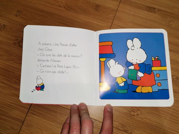 Petit Lapin Blanc est un coquin - photo numéro 7