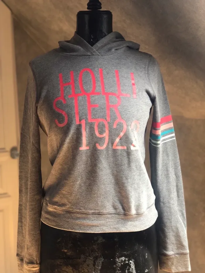 Sweat hollister
