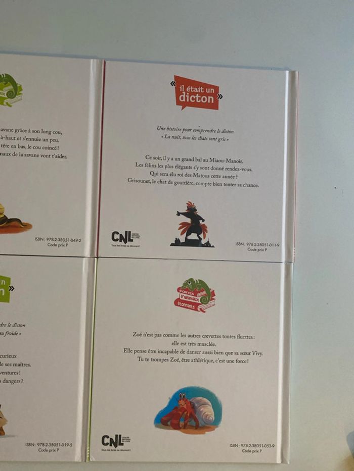 lot de six livres pour enfants de Éric Emmanuel Schmitt - photo numéro 7