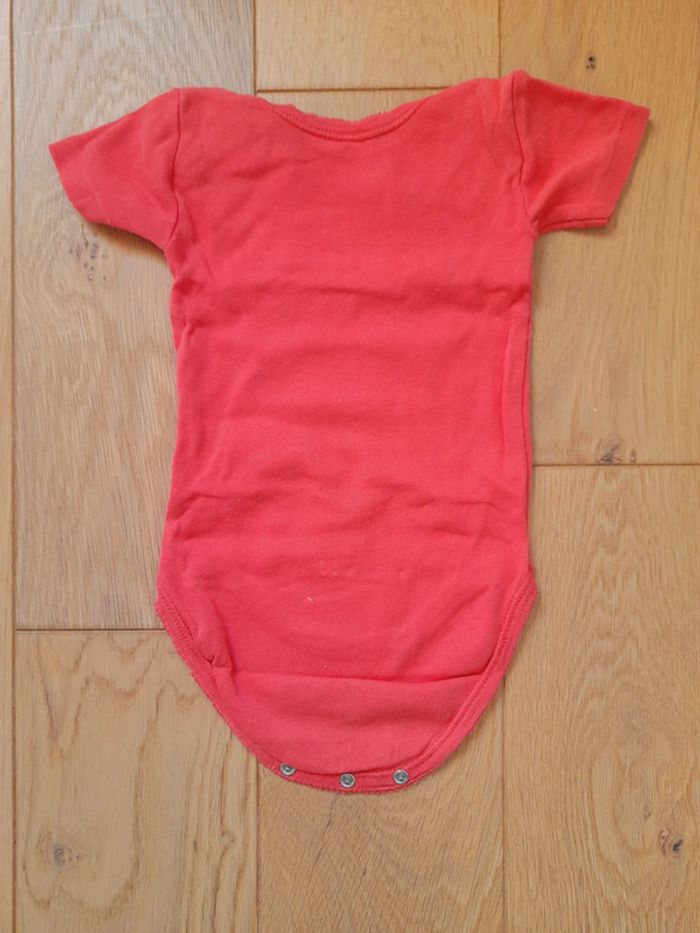 Lot bodies - photo numéro 14