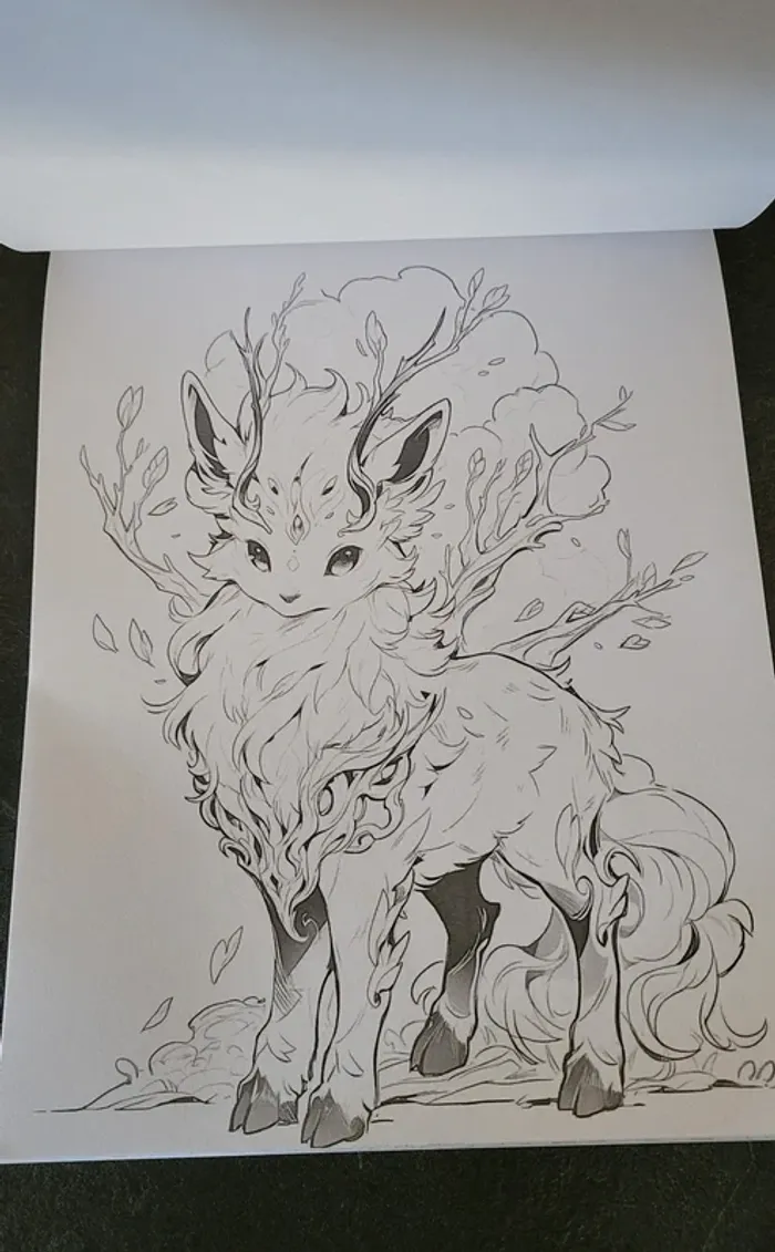Livre de coloriages - photo numéro 2