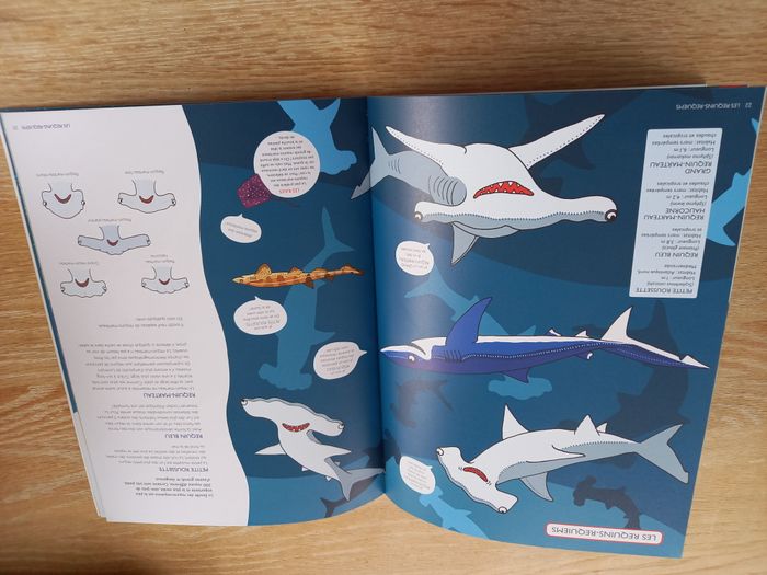 Requins dès 8 ans - Neuf - photo numéro 3