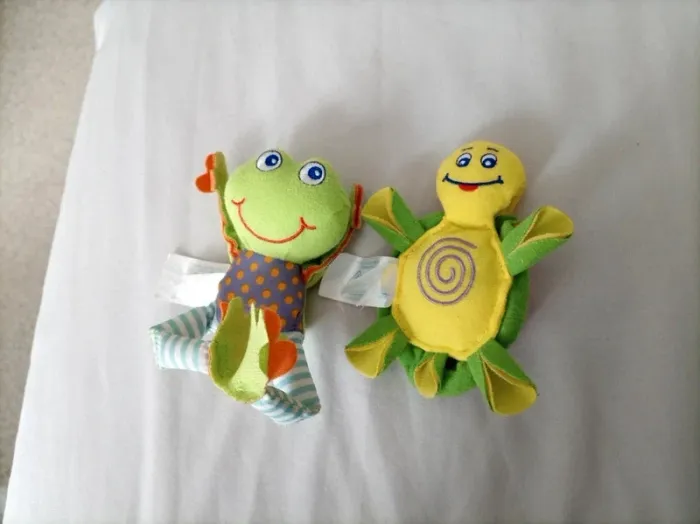 Tortue et grenouille
