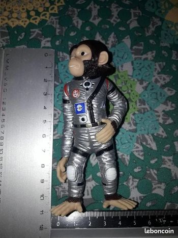 chimpanzés de l'espace