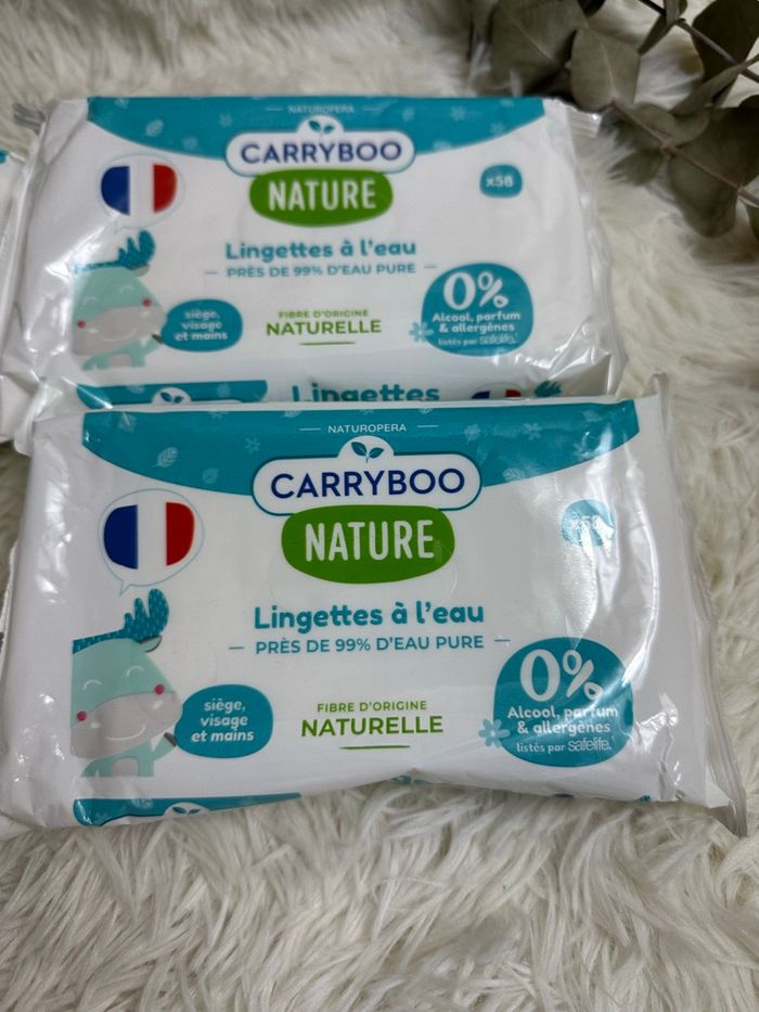 Lot de 4 paquets de lingette Carryboo