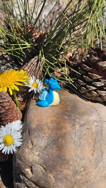 Super petite figurine Pokemon Nintendo lokhlass